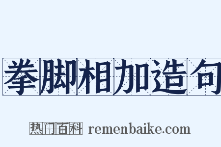 拳脚相加造句是什么意思的图片
